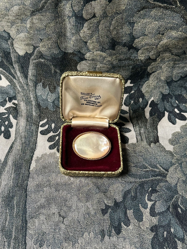Vintage Mother of Pearl Oval Brooch