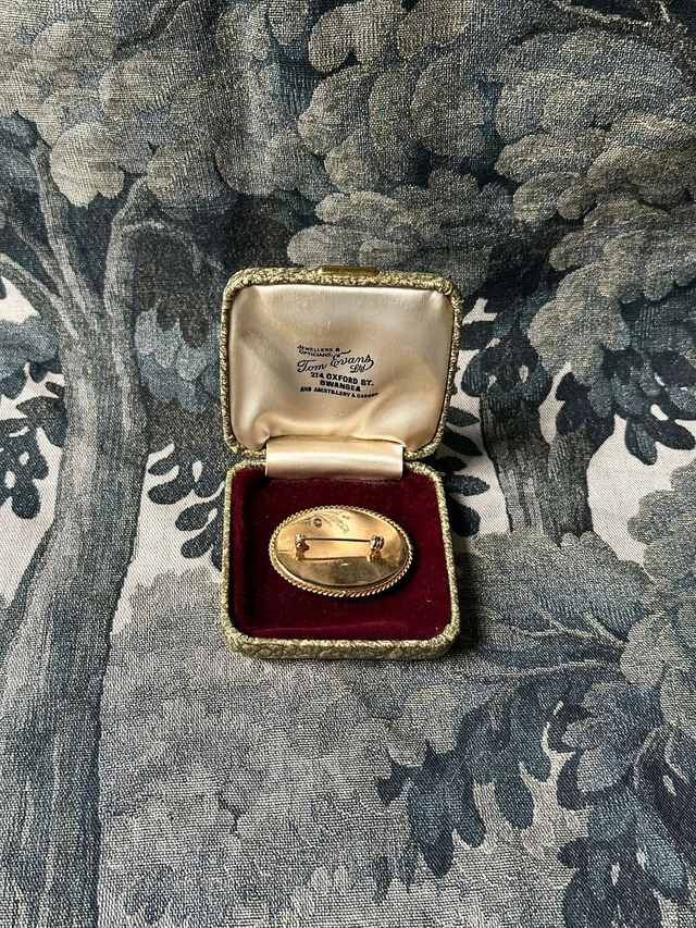 Vintage Mother of Pearl Oval Brooch